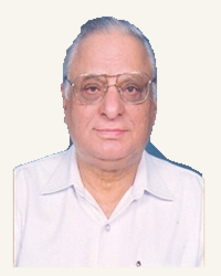 Prof A N Safaya